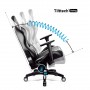 Diablo X-Horn 2.0 Black - White Normal Size Gaming Chair