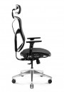 DIABLO V-BASIC Ergonomic Chair (Black)