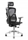DIABLO V-BASIC Ergonomic Chair (Black)