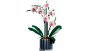 LEGO Creator Orchid (10311)