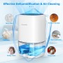 CONOPU Dehumidifier, Electric Dehumidifier, Auto Off & Coloured LED Light