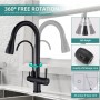 Homelody Extendible Tap with 3 Modes and Pure Water Kitchen Tap (SK3175MB)