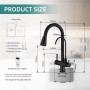 Homelody Extendible Tap with 3 Modes and Pure Water Kitchen Tap (SK3175MB)