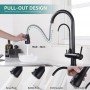 Homelody Extendible Tap with 3 Modes and Pure Water Kitchen Tap (SK3175MB)