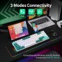 Royal Kludge RK71 TKL White/green Wireless Mechanical Keyboard | 70%, Hot-swap, Brown Switches, US