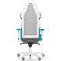 DXRacer AIR R1S-WQG (AIR-R1S-WQG-BX1)