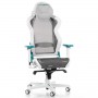 DXRacer AIR R1S-WQG (AIR-R1S-WQG-BX1)