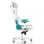 DXRacer AIR R1S-WQG (AIR-R1S-WQG-BX1)
