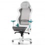 DXRacer AIR R1S-WQG (AIR-R1S-WQG-BX1)