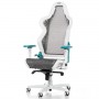 DXRacer AIR R1S-WQG (AIR-R1S-WQG-BX1)