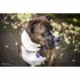 Lensbaby Twist 60 for Sony E LBT60X