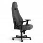 noblechairs LEGEND TX Gaming Chair - anthracite (NBL-LGD-TX-ATC)