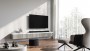 LOEWE bild i.48 dr+