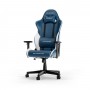 DXRACER Gladiator Series L N23 Blue/White Gaming Chair