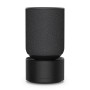 Bang & Olufsen Beosound Balance Black Oak Wireless Speaker