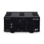 Cary Audio SA-500.1 ES Monoblock Power Amplifier (Pair) Black