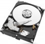 Seagate SkyHawk 1TB Surveillance Hard Drive - Sata 6Gb/s 64MB Cache 3.5-Inch Internal Drive (ST1000VX005)
