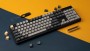 Keychron C2 Pro 100% wired mechanical keyboard (C2P-L3)