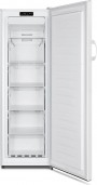 Gorenje FN4171CW
