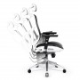 Diablo V-Basic White - Black Ergonomic Chair
