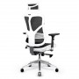 Diablo V-Basic White - Black Ergonomic Chair