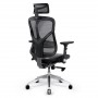 Diablo V-Basic Black - Grey Ergonomic Chair