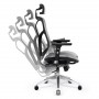Diablo V-Basic Black - Grey Ergonomic Chair