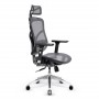 Diablo V-Basic Black - Grey Ergonomic Chair