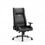 Diablo X-Custom 2.0 Normal Size Black Ergonomic Chair