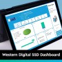 Western Digital Blue SA510 2.5 Inch SSD, SATA 6G - 250GB (WDS250G3B0A)