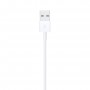 Apple Lightning to USB Cable 1m MQUE2 (MD818)