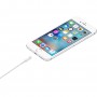 Apple Lightning to USB Cable 1m MQUE2 (MD818)