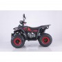 TAO MOTOR Fourcraft 125 cc Red Benzīna Kvadracikls