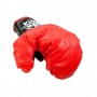Kings Sport Lielais Boksa Komplekts (LN726)