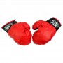 Kings Sport Lielais Boksa Komplekts (LN726)