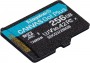 Kingston Technology 256GB microSDXC Canvas Go Plus 170R A2 U3 V30 Single Pack w/o ADP