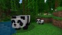 Sony PlayStation 4 Minecraft: Starter Collection (PS4)