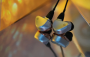 HiFiMAN Svanar in-ear headphones