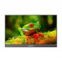 Arzopa A1T 15.6 portable monitor