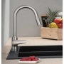 Hansgrohe Focus M42 M429-H220 Jaucējkrāns Virtuves Izlietnēm ar izvelkamu Dušu, Stainless Steel Optic (71800800)