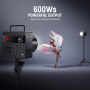 Neewer Q6 600 Watt 24G TTL Flash
