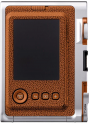 FujiFilm Instax Mini Evo Brown