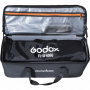 Godox Flexible LED Light FL100 Two-light Kit