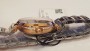 Eterna Grace Open Art Ladies Watch 2943.60.11.1730