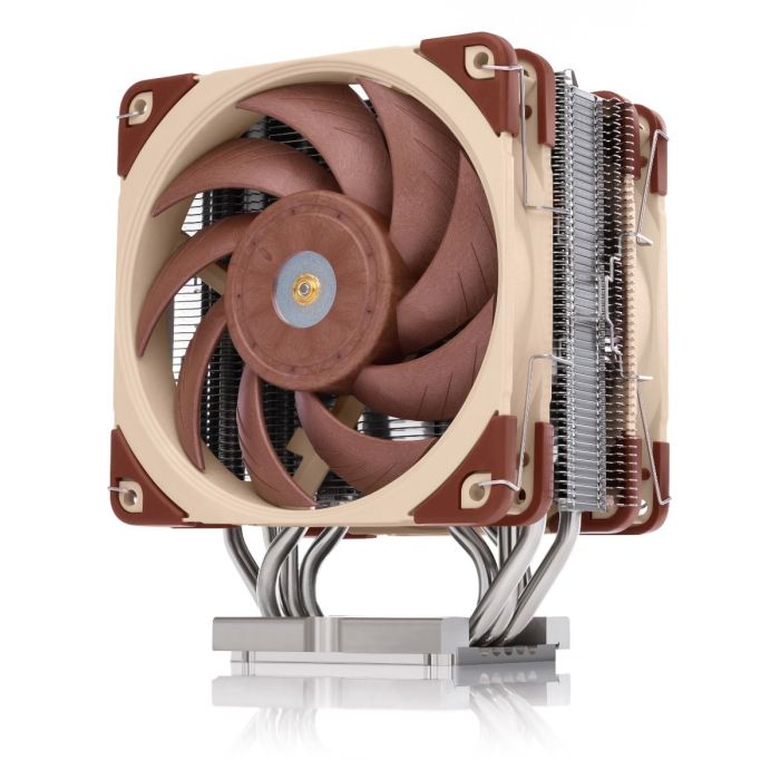 302733