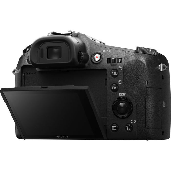 Sony DSC-RX10 Mark II (DSC-RX10M2)