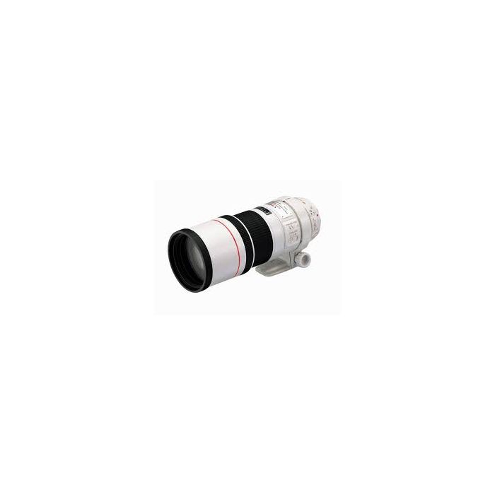 Canon EF 300mm f/4.0L USM IS