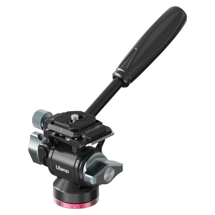 534296