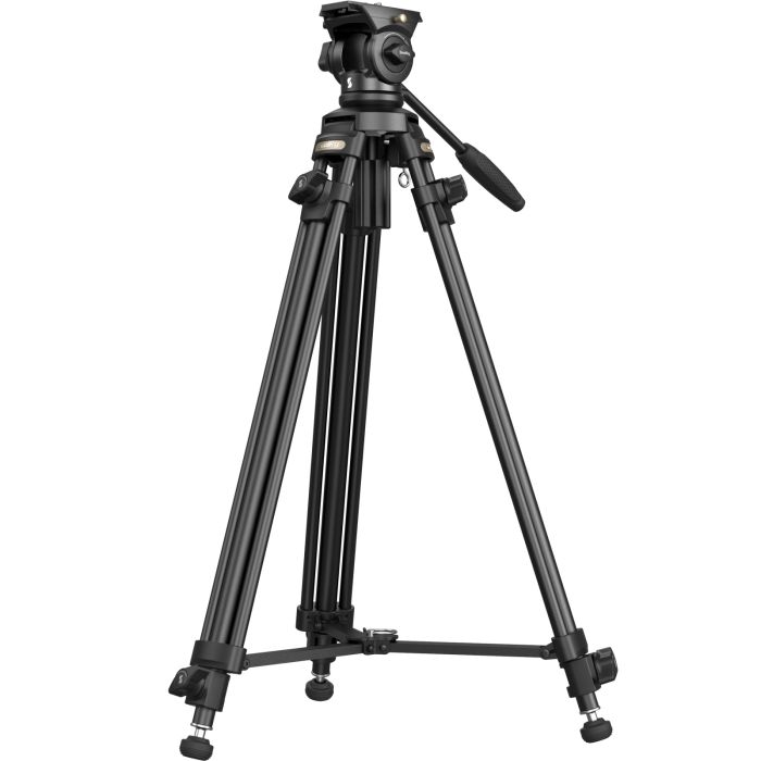 529018