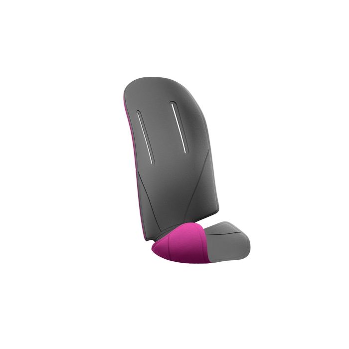 Thule RideAlong Padding Dark Grey/Purple 100402